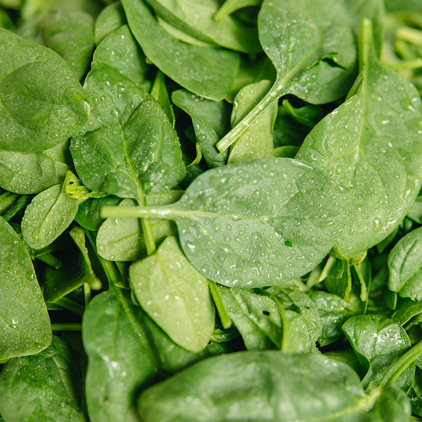 Effects of Vitamin B6 on the Body