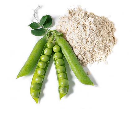 Pea pods and protein powder.
