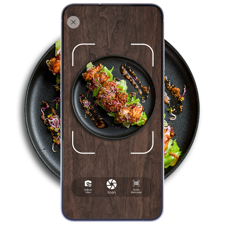 Portions Master app scanning a plate of chicken on a bed of lettuce.